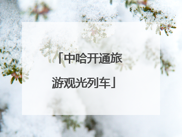 中哈开通旅游观光列车