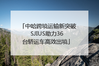 中哈跨境运输新突破 SJIUS助力36台轿运车高效出境