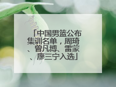 中国男篮公布集训名单，周琦、曾凡博、雷蒙、廖三宁入选