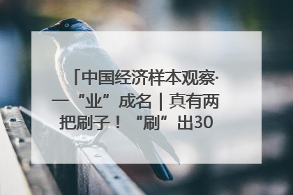 中国经济样本观察·一“业”成名｜真有两把刷子！“刷”出30亿级“颜值经济”