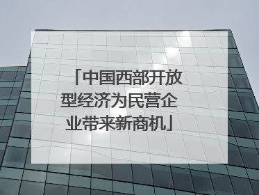 中国西部开放型经济为民营企业带来新商机