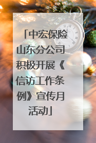 中宏保险山东分公司积极开展《信访工作条例》宣传月活动