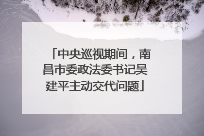 中央巡视期间，南昌市委政法委书记吴建平主动交代问题