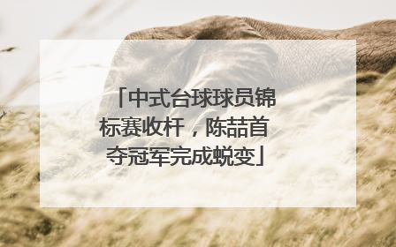 中式台球球员锦标赛收杆，陈喆首夺冠军完成蜕变