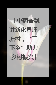 中药香飘进新化县坪塘村，“三下乡”助力乡村振兴