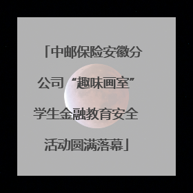 中邮保险安徽分公司“趣味画室”学生金融教育安全活动圆满落幕