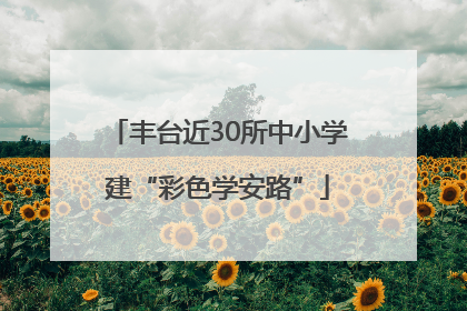 丰台近30所中小学建“彩色学安路”