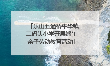 乐山五通桥牛华镇二码头小学开展端午亲子劳动教育活动