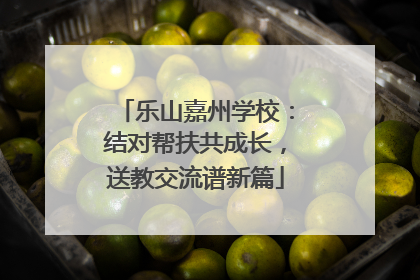 乐山嘉州学校：结对帮扶共成长，送教交流谱新篇