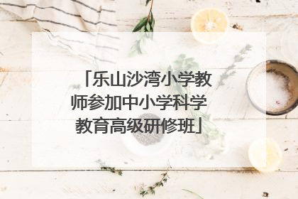 乐山沙湾小学教师参加中小学科学教育高级研修班