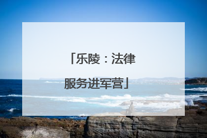 乐陵：法律服务进军营