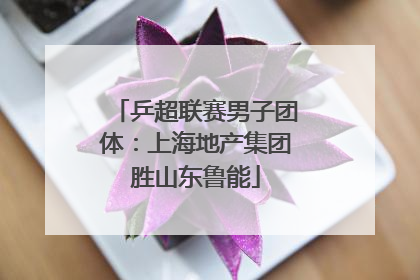 乒超联赛男子团体：上海地产集团胜山东鲁能
