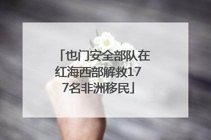也门安全部队在红海西部解救177名非洲移民