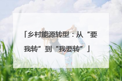 乡村能源转型：从“要我转”到“我要转”