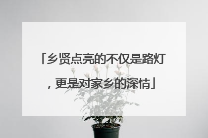 乡贤点亮的不仅是路灯，更是对家乡的深情