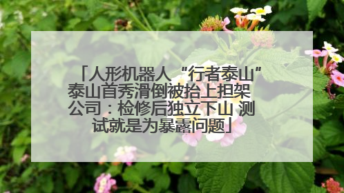 人形机器人“行者泰山”泰山首秀滑倒被抬上担架 公司：检修后独立下山 测试就是为暴露问题