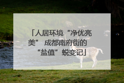 人居环境“净优亮美” 成都南府街的“盐值”蜕变记