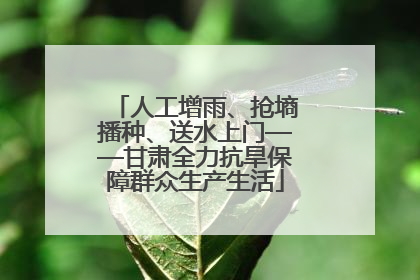 人工增雨、抢墒播种、送水上门——甘肃全力抗旱保障群众生产生活