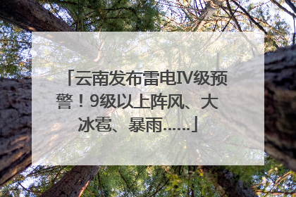 云南发布雷电Ⅳ级预警！9级以上阵风、大冰雹、暴雨……