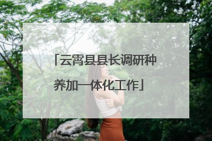 云霄县县长调研种养加一体化工作