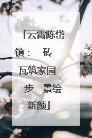 云霄陈岱镇：一砖一瓦筑家园 一步一景绘新颜