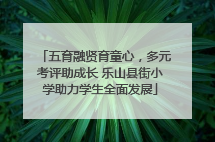 五育融贤育童心，多元考评助成长 乐山县街小学助力学生全面发展