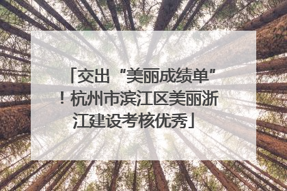 交出“美丽成绩单”！杭州市滨江区美丽浙江建设考核优秀