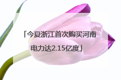 今夏浙江首次购买河南电力达2.15亿度