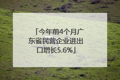 今年前4个月广东省民营企业进出口增长5.6%
