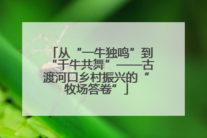 从“一牛独鸣”到“千牛共舞”——古渡河口乡村振兴的“牧场答卷”