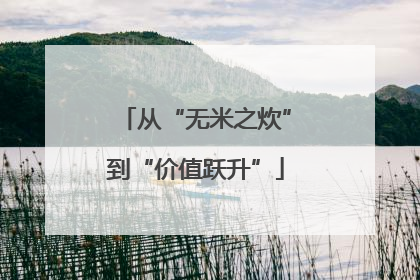 从“无米之炊”到“价值跃升”