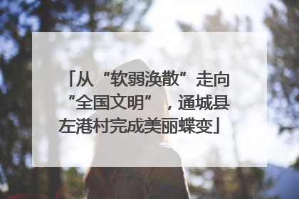 从“软弱涣散”走向“全国文明”，通城县左港村完成美丽蝶变