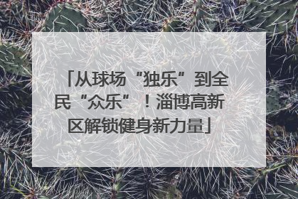 从球场“独乐”到全民“众乐”！淄博高新区解锁健身新力量