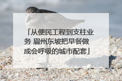 从便民工程到支柱业务 眉州东坡把早餐做成会呼吸的城市配套