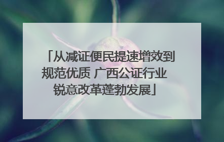 从减证便民提速增效到规范优质 广西公证行业锐意改革蓬勃发展