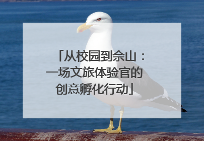 从校园到佘山：一场文旅体验官的创意孵化行动