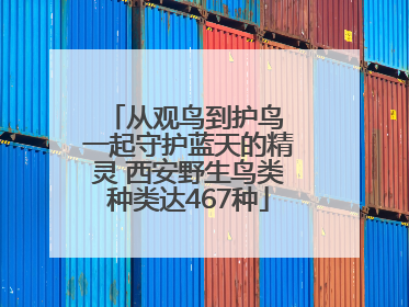 从观鸟到护鸟 一起守护蓝天的精灵 西安野生鸟类种类达467种