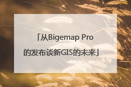 从Bigemap Pro的发布谈新GIS的未来