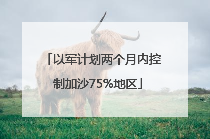 以军计划两个月内控制加沙75%地区