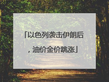 以色列袭击伊朗后，油价金价跳涨