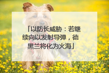 以防长威胁：若继续向以发射导弹，德黑兰将化为火海