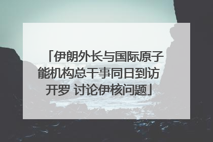 伊朗外长与国际原子能机构总干事同日到访开罗 讨论伊核问题