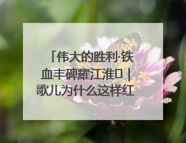 伟大的胜利·铁血丰碑耀江淮⑫｜歌儿为什么这样红——《黄桥烧饼歌》诞生记