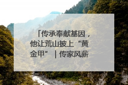 传承奉献基因，他让荒山披上“黄金甲”｜传家风薪火 颂家国情深