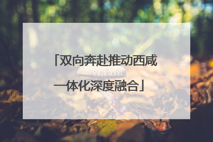 双向奔赴推动西咸一体化深度融合