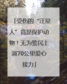受伤的“汪星人”竟是保护动物！无为警民上演70公里爱心接力
