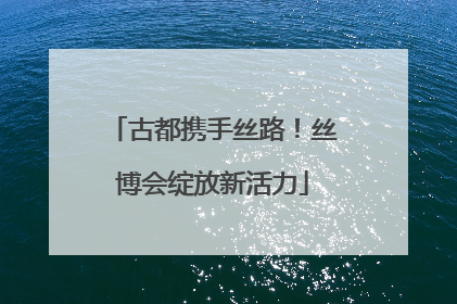 古都携手丝路!丝博会绽放新活力