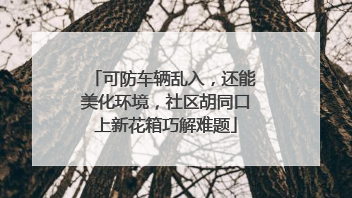 可防车辆乱入，还能美化环境，社区胡同口上新花箱巧解难题