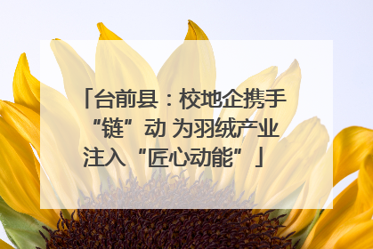 台前县：校地企携手“链”动 为羽绒产业注入“匠心动能”