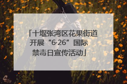 十堰张湾区花果街道开展“6·26”国际禁毒日宣传活动